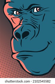 Gorilla head on a color background. A sly smile on his face. Wild animal primate. Vector cartoon illustration drawing. Pop art style