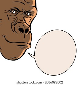 Gorilla Head On A White Background. A Sly Smile On His Face. Wild Animal Primate. Character Speech. Bobble With Place For Text. Vector Isolated  Illustration