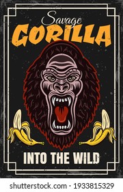 Gorilla head and two bananas vector decorative poster in vintage style. Illustration with sample text and grunge textures on separate layers