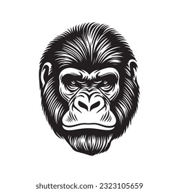 Gorilla head vector illustration on a white background. Vintage gorilla illustration