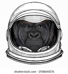 Gorilla head. Vector illustration. Wild animal portrait. Astronaut animal. Vector portrait. Cosmos and Spaceman. Space illustration about travel to the moon. Funny science hand drawn illustration.