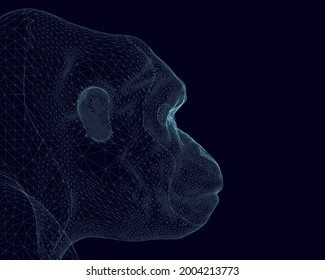 Gorilla head wireframe made of blue lines on a dark background. Side view. 3D. Vector illustration