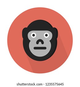 Gorilla, herbivorous ape 