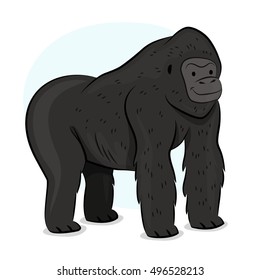 Gorilla Illustration