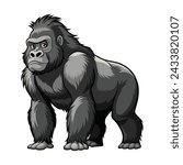 Gorilla illustration on White Background