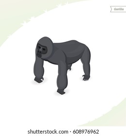 Gorilla isolated on white background. Isometric view. Flat vector illustration.