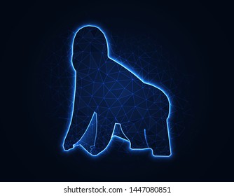 Gorilla magic low poly model, African animal polygonal wireframe vector illustration on dark blue background
