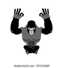 Gorilla meditating. Wild animals on white background. Status of nirvana and enlightenment. Lotus Pose. Beast yoga
