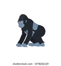 Gorilla. Monkey animal, vector illustration