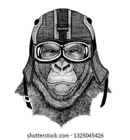 gorilla, monkey Animal wearing motorycle helmet. Image for kindergarten children clothing, kids. T-shirt, tattoo, emblem, badge, logo, patch