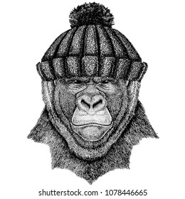 Gorilla, monkey, ape Cool animal wearing knitted winter hat. Warm headdress beanie Christmas cap for tattoo, t-shirt, emblem, badge, logo, patch