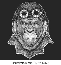 Gorilla, monkey, ape Frightful animal Hand drawn image for tattoo, emblem, badge, logo, patch Cool animal wearing aviator, motorcycle, biker helmet.