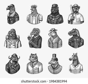 Gorilla monkey astronaut. Eagle aviator pilot Rooster Dinosaur Pig Tiger Bear Sheep Buffalo Bull Horse Cheetah. Dog bulldog baseball tennis player. Fashion animal character. Hand drawn vintage sketch.