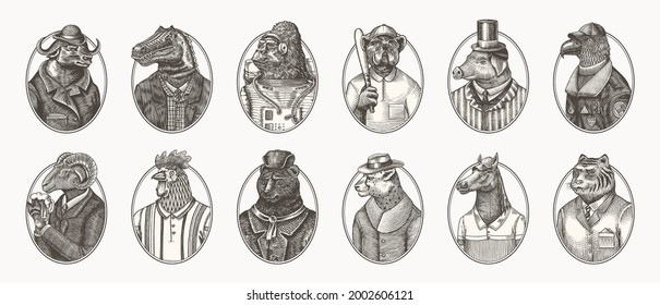 Gorilla monkey astronaut. Eagle aviator pilot Rooster Dinosaur Pig Tiger Bear Sheep Buffalo Bull Horse Cheetah. Dog bulldog baseball tennis player. Fashion animal character. Hand drawn vintage sketch.