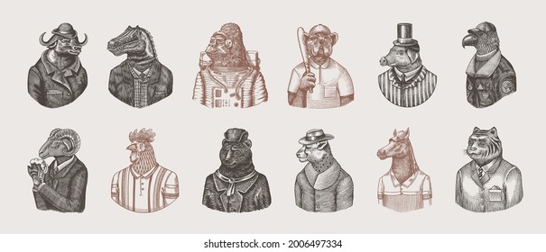 Gorilla monkey astronaut. Eagle aviator pilot Rooster Dinosaur Pig Tiger Bear Sheep Buffalo Bull Horse Cheetah. Dog bulldog baseball tennis player. Fashion animal character. Hand drawn vintage sketch.