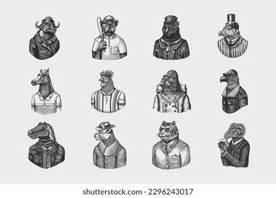 Gorilla monkey astronaut. Eagle aviator pilot Rooster Dinosaur Pig Tiger Bear Sheep Buffalo Bull Horse Cheetah. Dog bulldog baseball tennis player. Fashion animal character. Hand drawn vintage sketch.