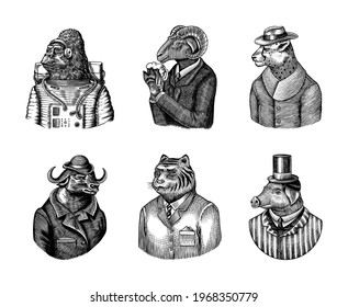 Gorilla monkey astronaut. Sheep drinks beer. Cheetah in coat. Buffalo Bull in hat tiger doctor in a suit. Pig hairdresser or vitorian gentleman. Fashion animal character. Hand drawn sketch.