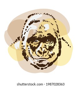 Gorilla monkey portrait. Simple handmade sketch drawing. Drawing of an animal on a colored background.