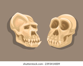 Gorilla And Monkey Skull Bone Set illustration Vector