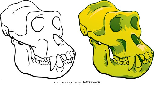 Gorilla monkey skull, hand-drawn sketch isolated on white background.