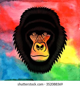 Gorilla on watercolor background. Vector illustration.
