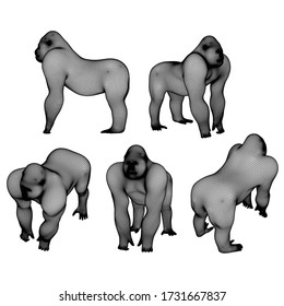 Gorilla polygonal lines illustration. Abstract vector gorilla on the white background