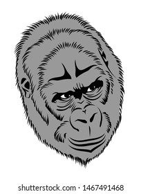 Gorilla portrait, vector image, monkey