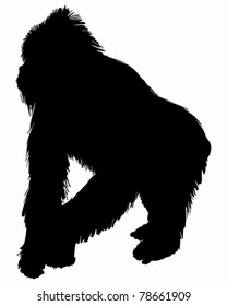 Gorilla Silhouette