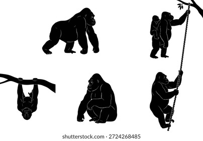 Conjunto de vetor de silhueta de gorila, escalando, sentado, andando poses, ilustração de comportamento de primatas para selva, vida selvagem, natureza, educacional e conteúdo de design