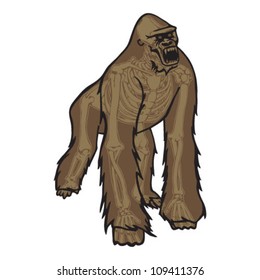 Gorilla Skeleton