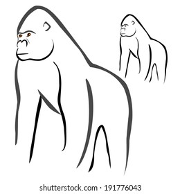 Gorilla sketch