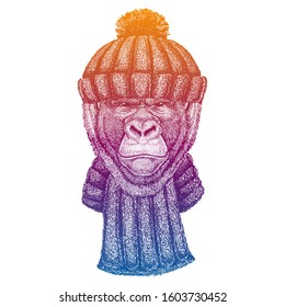 Gorilla. Ski, skier animal wearing woolen knitted hat. Christmas time. Cartoon character for little children. Kids print for shirts. Nursery decor.