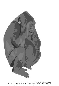 gorilla talking on cell phone