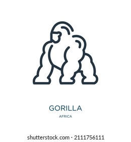 gorilla thin line icon. monkey, animal linear icons from africa concept isolated outline sign. Vector illustration symbol element for web design and apps.