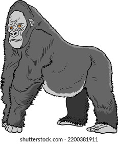 gorilla  vector illustration isolated on white background