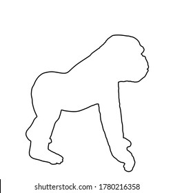 Gorilla vector line contour silhouette isolated on white background. Big monkey symbol. Wild life from Africa. Family of primates. Male Gorilla, King Kong sign.