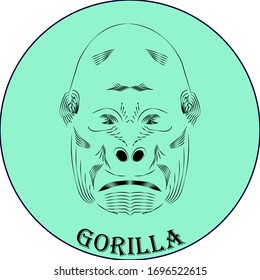 
gorilla vector logo on a turquoise background