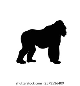  A gorilla vector silhouette.King of the Jungle.