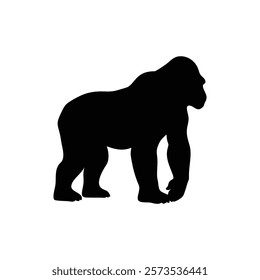  A gorilla vector silhouette.King of the Jungle.