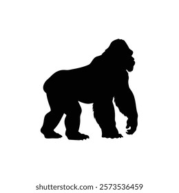  A gorilla vector silhouette.King of the Jungle.