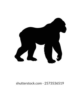  A gorilla vector silhouette.King of the Jungle.