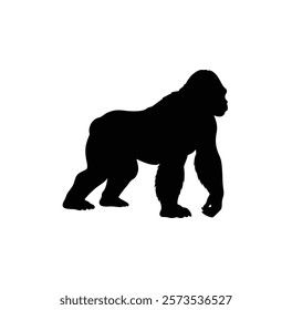  A gorilla vector silhouette.King of the Jungle.