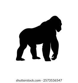  A gorilla vector silhouette.King of the Jungle.