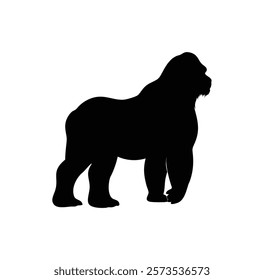  A gorilla vector silhouette.King of the Jungle.