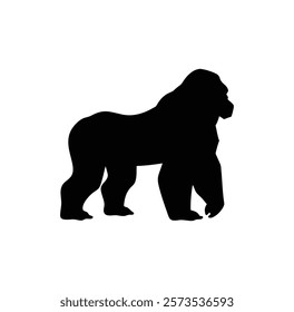  A gorilla vector silhouette.King of the Jungle.