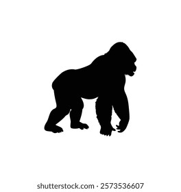  A gorilla vector silhouette.King of the Jungle.