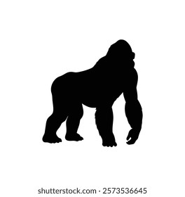  A gorilla vector silhouette.King of the Jungle.