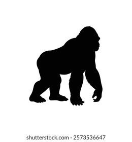  A gorilla vector silhouette.King of the Jungle.