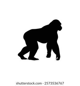  A gorilla vector silhouette.King of the Jungle.