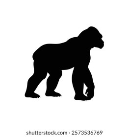  A gorilla vector silhouette.King of the Jungle.